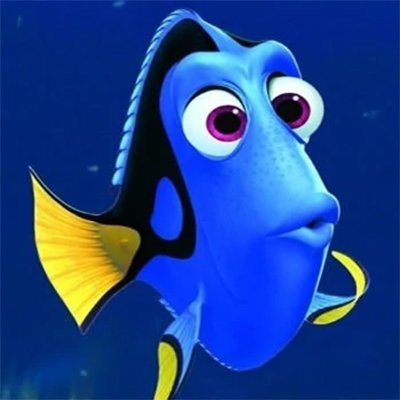 Ms Dory